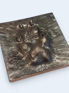 Pet-Paw Tile