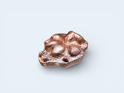 Small bronze dog Pet-Paw